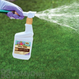 Alternate Image 1 Thumbnail