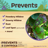 Alternate Image 2 Thumbnail