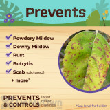 Alternate Image 3 Thumbnail