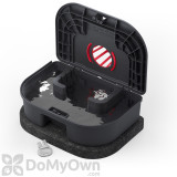 Alternate Image 1 Thumbnail