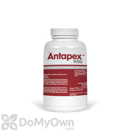 Antapex WSG Insecticide 