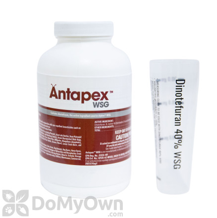 Antapex WSG Insecticide 