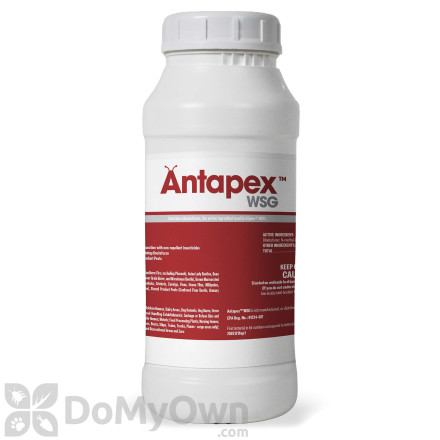 Antapex WSG Insecticide - CASE (4 x 500g Jars)