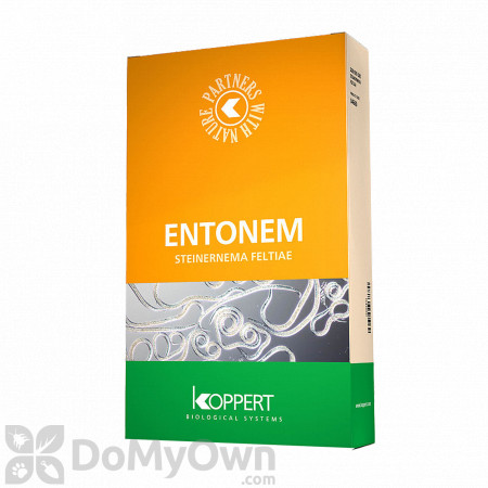 ENTONEM - Live Nematodes (Steinernema feltiae)