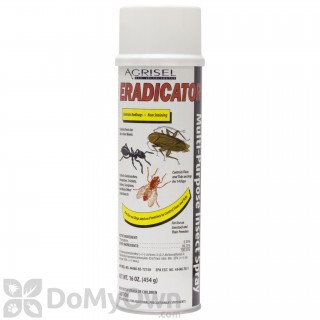 image of Eradicator Aerosol Insecticide