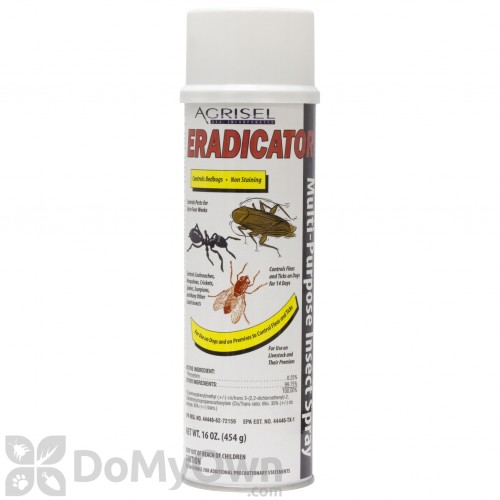 Eradicator Aerosol Insecticide