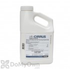 altoCIRRUS Fogging Concentrate