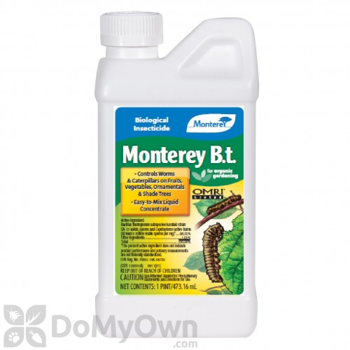 Monterey B.t.