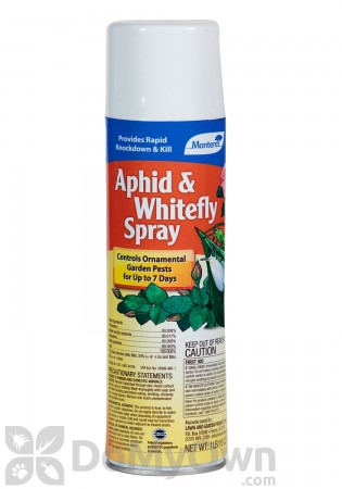 Monterey Aphid & Whitefly Spray
