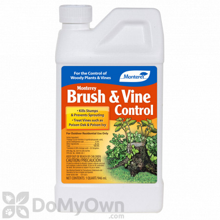 Monterey Brush & Vine Control