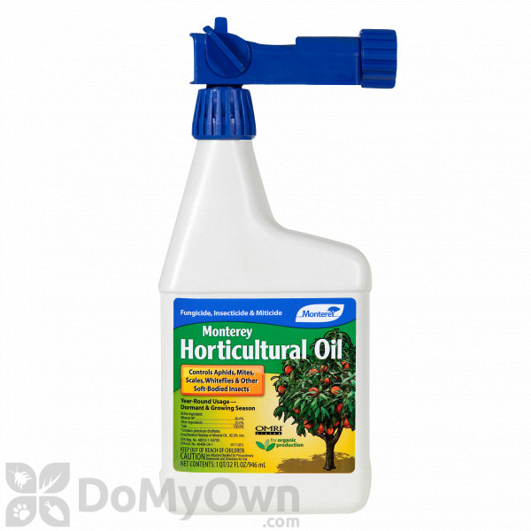Insecticide horticole