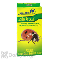 Monterey Lady Bug Attractant