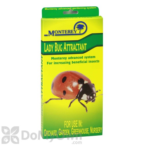 Central Biocare Ladybug Lure – Store – The Plant Foundry