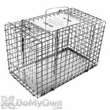 Alternate Image 1 Thumbnail