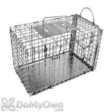 Alternate Image 1 Thumbnail