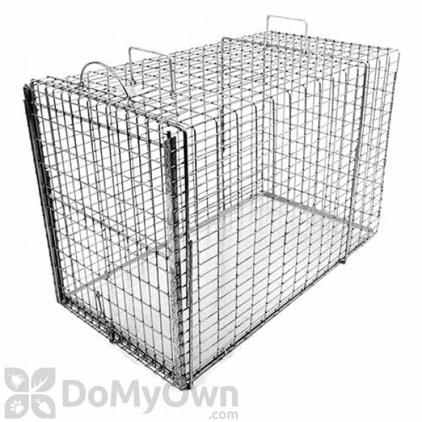 Medium One Door Catch Release Heavy-Duty Humane Cage Live Animal Trap for  Rats, Raccons, and Other Same Sized Animals