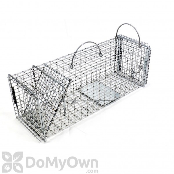 Professional Chipmunk / Rat Galvanized Metal Live Animal Traps