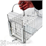 Alternate Image 2 Thumbnail