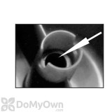 Alternate Image 2 Thumbnail