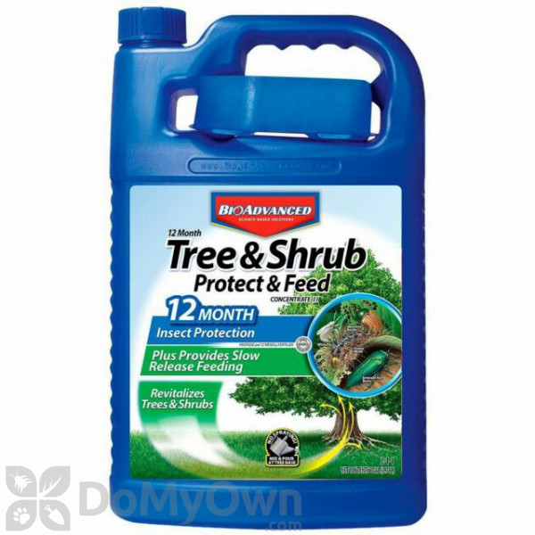 Bio Advanced 12 Month Tree and Shrub Protect and Feed Concentrate Gallon