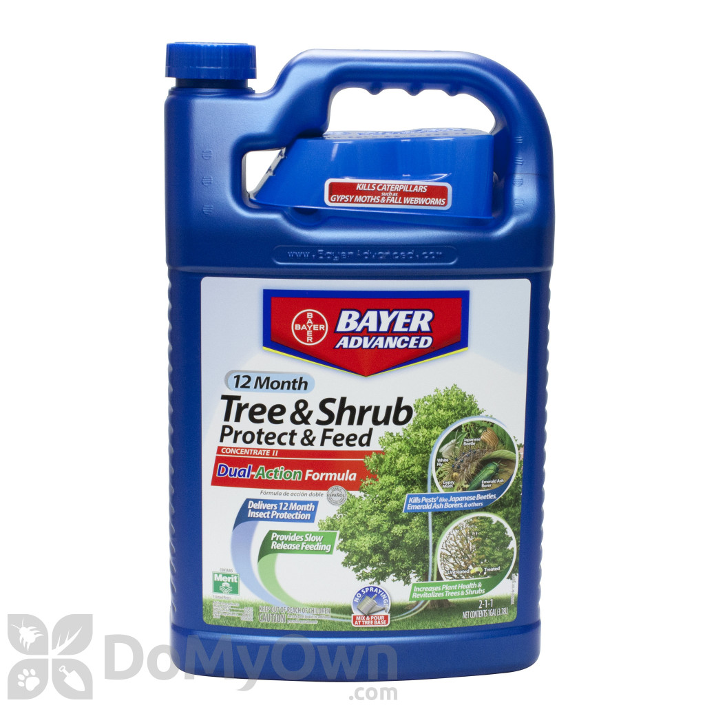 bayer tree and shrub care