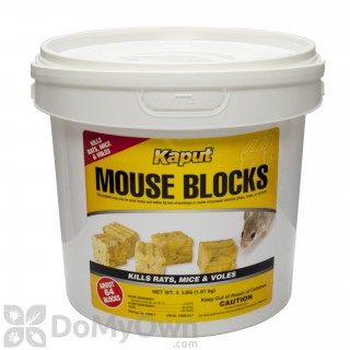 image of Kaput Mouse Blocks Rodenticide