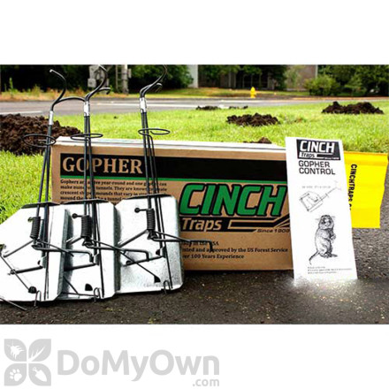 CINCH Traps Gopher Trap Deluxe Kit 3-pack