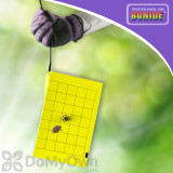 Alternate Image 2 Thumbnail