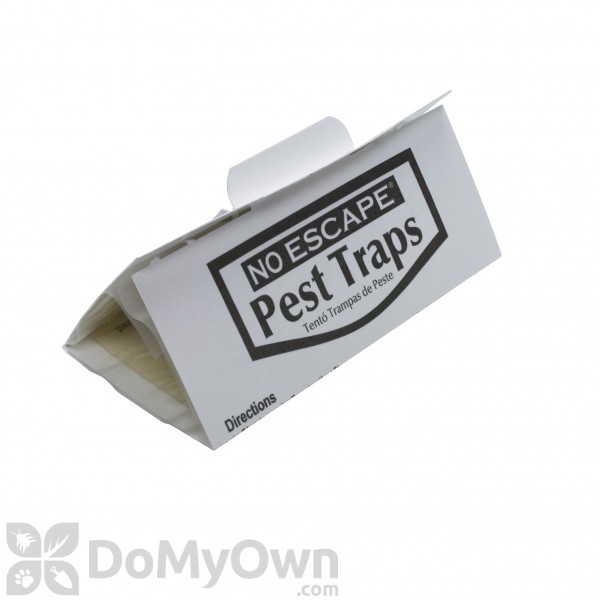 Revenge Glue Traps for Mice