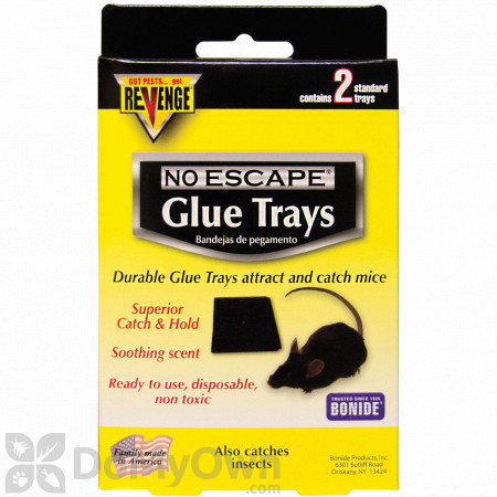 Revenge Baited Glue Trays for Mice CASE (12 packs 24 trays)