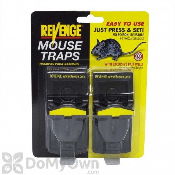 Mini T-Rex Mouse Snap Traps - Case (24 Traps)