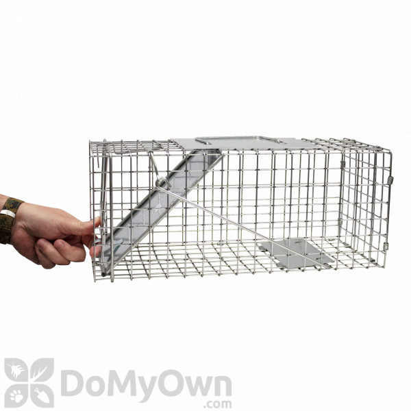 Havahart Cage Trap Model 1078 for Squirrels, Skunks, Mink and