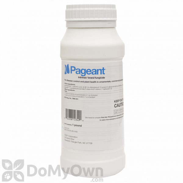 Pageant Intrinsic Brand Fungicide - California 