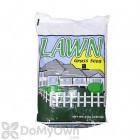 Annual Rye Grass Seed