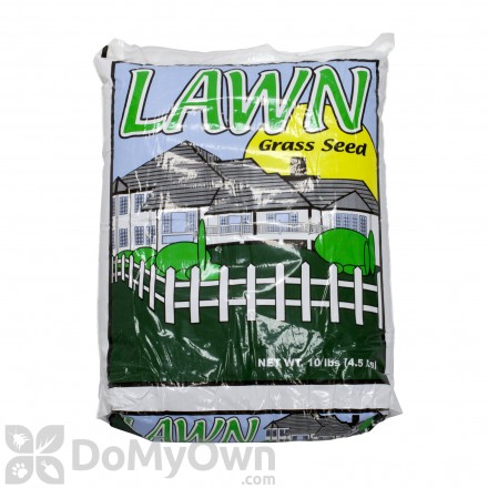 Annual Rye Grass Seed - 10 lbs.