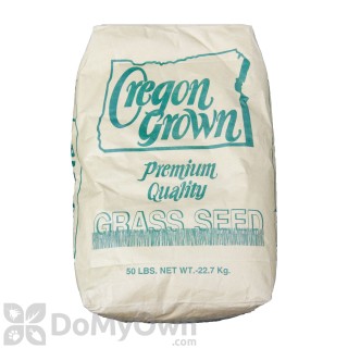 image of Annual Rye Grass Seed