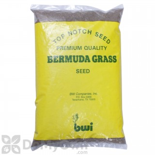 image of Hulled Bermuda Grass Seed