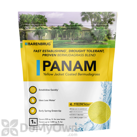 Panama (PanAm) Bermuda Grass Seed Blend - CASE (24 x 1 lb bag)