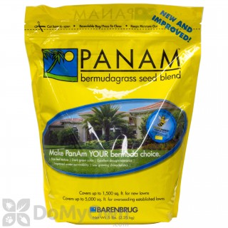 Panama (PanAm) Bermuda Grass Seed Blend