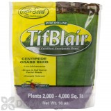 TifBlair Centipede Grass Seed