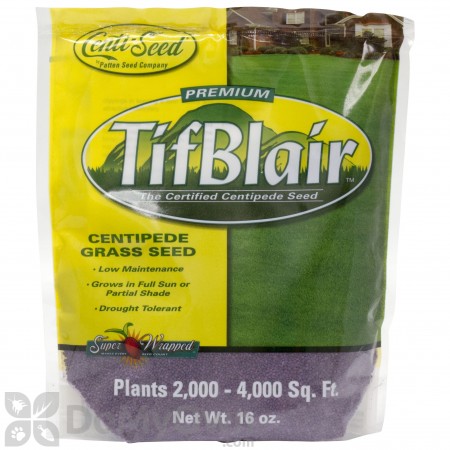TifBlair Centipede Grass Seed