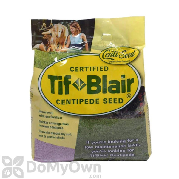 TifBlair Centipede Grass Seed - 5 lbs.