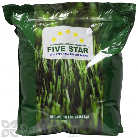 5 Star Fescue Grass Seed Blend - CASE (10 x 5 lb bags)