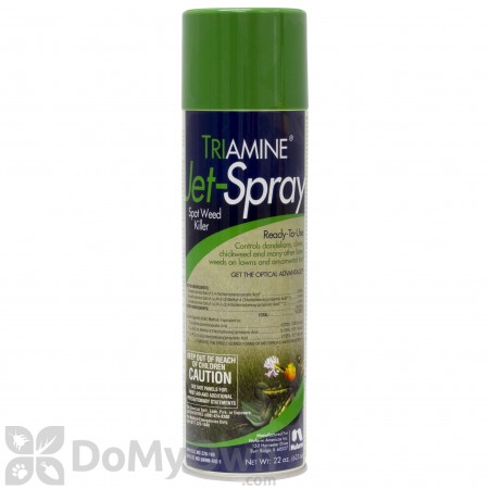 Triamine Jet Spray - CASE (12 x 22 oz cans)