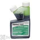 Edgeless Turf Grass Regulator