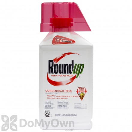 Roundup Weed & Grass Killer Concentrate Plus 