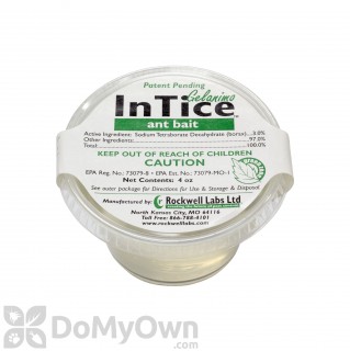 image of InTice Gelanimo Ant Bait 4 oz. Cup
