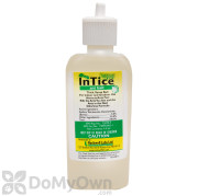 Intice Thiquid Ant Bait