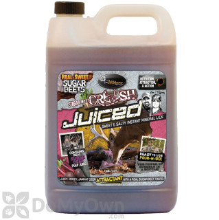 image of Sugar Beet Crush Juiced - CASE (3 x 1 gal jug)