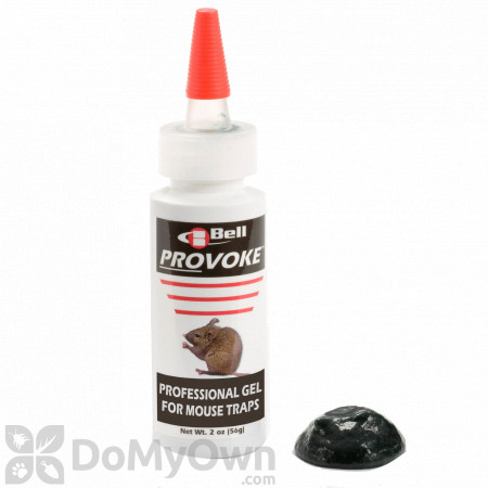 Provoke Professional Gel for Mouse Traps